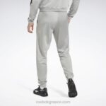 καθαρό γκρι 3 ταυτότητα διάνυσμα δεμένη πίστα παντελόνι Reebok ND8H391 - Image 3