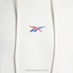 κιμωλία κλασικά, περήφανα κουκούλα Reebok ND8H331 - Image 4