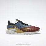 terra red/brave blue/matte gold ανδρικά παπούτσια προπόνησης dc nano x2 Reebok ND8H98
