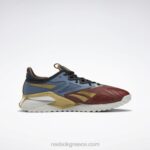 terra red/brave blue/matte gold ανδρικά παπούτσια προπόνησης dc nano x2 Reebok ND8H98 - Image 4